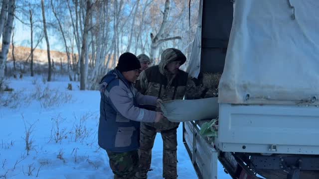 🔹 Ұлытауда табиғатты қорғау жұмыстары бір сәтке де тоқтаған емес.…