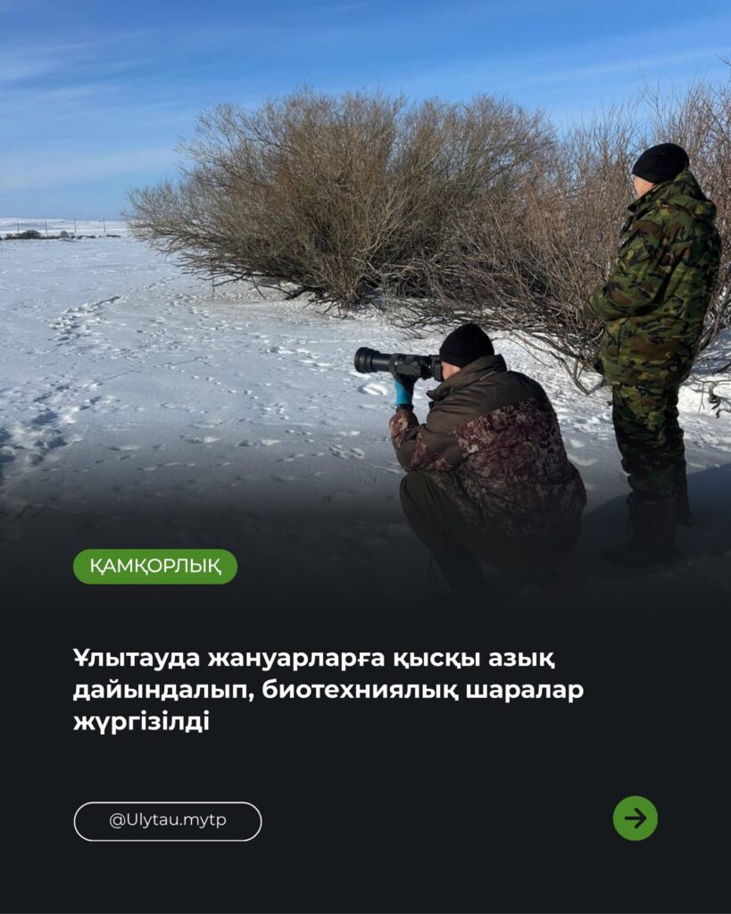 🔹 Ұлытау өңірінде аңшылықтанушы биологтар мен мемлекеттік инспекторлар жабайы жануарларға…