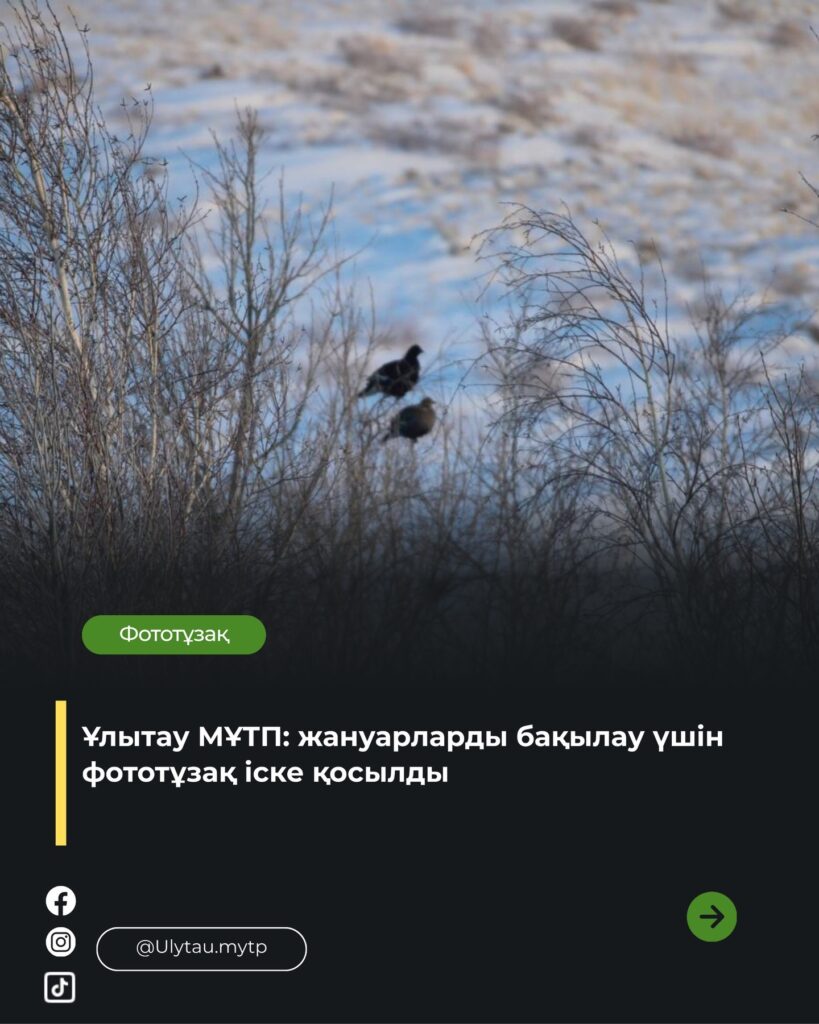 🔹 Ұлытау мемлекеттік ұлттық табиғи паркінің аумағында фототұзақ орнатылды 📸…