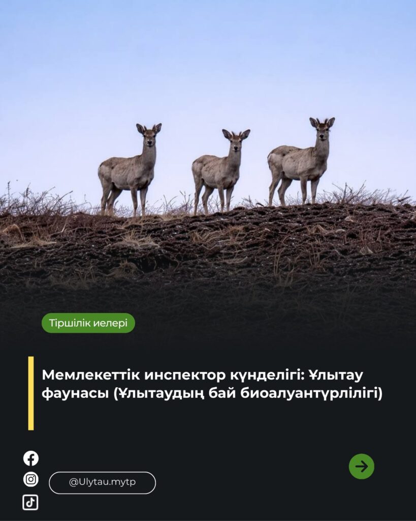🔹 Мемлекеттік инспектор күнделігі: Ұлытау фаунасы Бүгін парк аумағында кезекті&hellip;