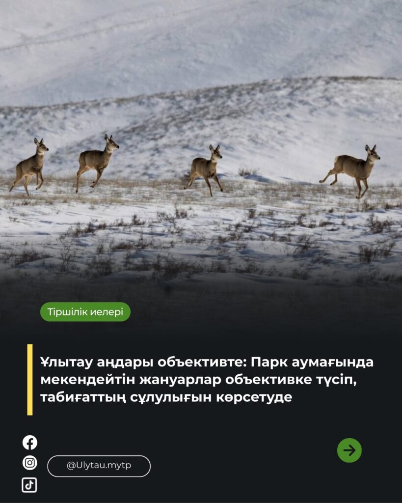 🔹 Ұлытау мұтп аумағы – Қазақстанның экологиялық байлығын сақтауға үлес…