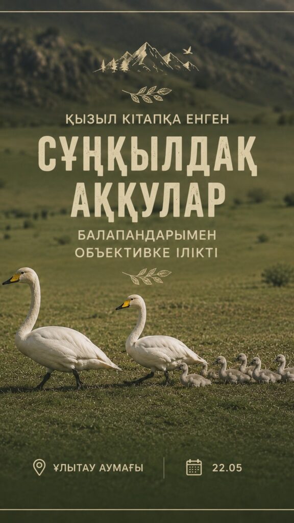 🦢 Қызыл кітапқа енген сұңқылдақ аққулар балапандарымен бірге тұрғындар объективіне…