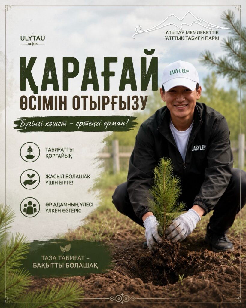 🌲 Кеше егілген тұқым – бүгінгі көшет!