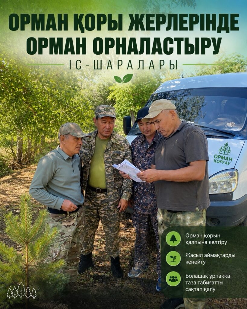 🌲 Орман орналастыру жұмыстары жүргізілуде 🌿 «Ұлытау» мемлекеттік ұлттық табиғи&hellip;